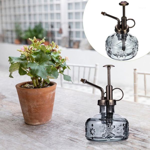 storage bottles & jars 1pc plants succulents watering sprayer bottle retro glass can
storage bottles & jars 1pc plants succulents watering sprayer bottle retro glass can