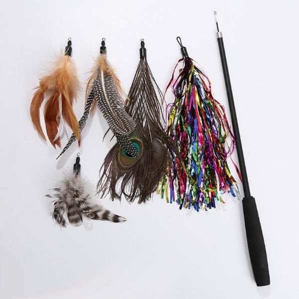 cat toys teaser feather replacement head assembled pet three-section rod 98cm pearl series 6-piece set
cat toys teaser feather replacement head assembled pet three-section rod 98cm pearl series 6-piece set