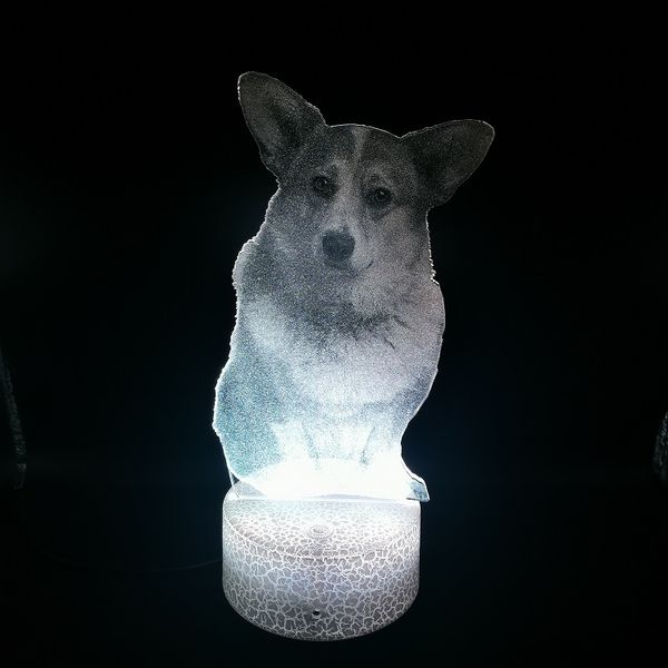 cardigan-welsh-corgi 3d led light for kids bedroom decor creative nightlight dropshipping portable desk lamp
cardigan-welsh-corgi 3d led light for kids bedroom decor creative nightlight dropshipping portable desk lamp