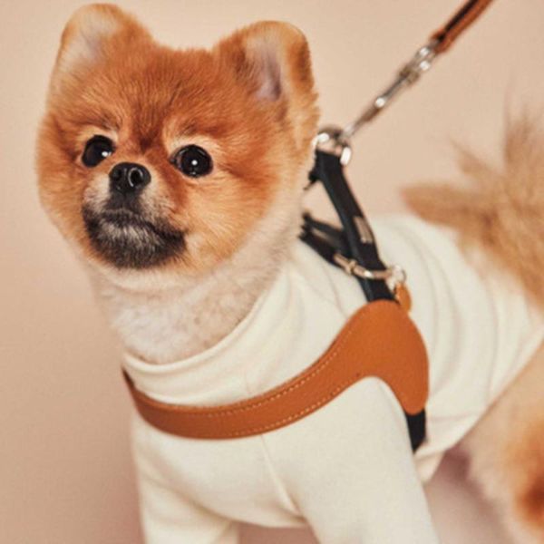 dog collars & leashes pet leash long strong large durable leather retractable big walking leads automatic extending rope pulling training pr
dog collars & leashes pet leash long strong large durable leather retractable big walking leads automatic extending rope pulling training pr