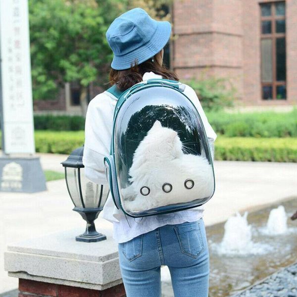 cat carriers,crates & houses pet kitten puppy carrier backpack space transparent for hiking traveling 2021ing
cat carriers,crates & houses pet kitten puppy carrier backpack space transparent for hiking traveling 2021ing