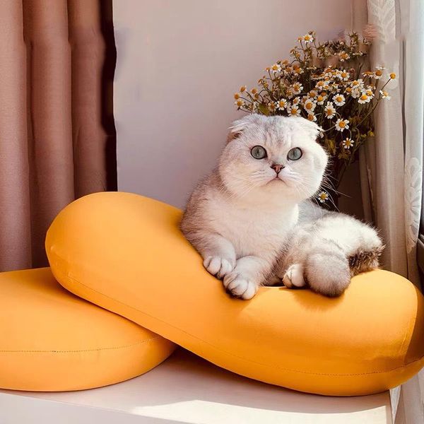 pillow cat belly protects cervical spine super soft antibacterial slow rebound memory core to help sleep special
pillow cat belly protects cervical spine super soft antibacterial slow rebound memory core to help sleep special
