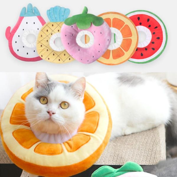 cat collars & leads dog collar after , protective pp cotton collar, pet recovery for dogs and cats soft
cat collars & leads dog collar after , protective pp cotton collar, pet recovery for dogs and cats soft