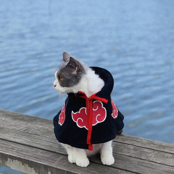 cat costumes cosplay cloak dog halloween anime clothes puppy funny coat pet birthday party props christmas costume supplies
cat costumes cosplay cloak dog halloween anime clothes puppy funny coat pet birthday party props christmas costume supplies