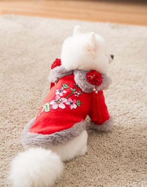 dog apparel princess wind tassel flower fur collar tang suit winter models teddy pomeranian small pet thick warm
dog apparel princess wind tassel flower fur collar tang suit winter models teddy pomeranian small pet thick warm