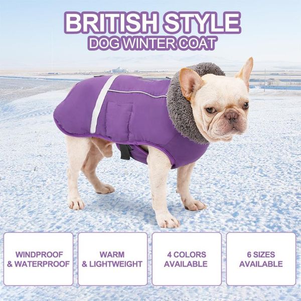 colors winter pet dog clothes windproof vest down jacket puppy small dogs warm chihuahua apparel supplies
colors winter pet dog clothes windproof vest down jacket puppy small dogs warm chihuahua apparel supplies