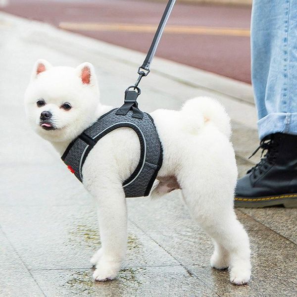 dog collars & leashes chest strap vest type walking rope medium and small traction out chain teddy mummy supplies
dog collars & leashes chest strap vest type walking rope medium and small traction out chain teddy mummy supplies