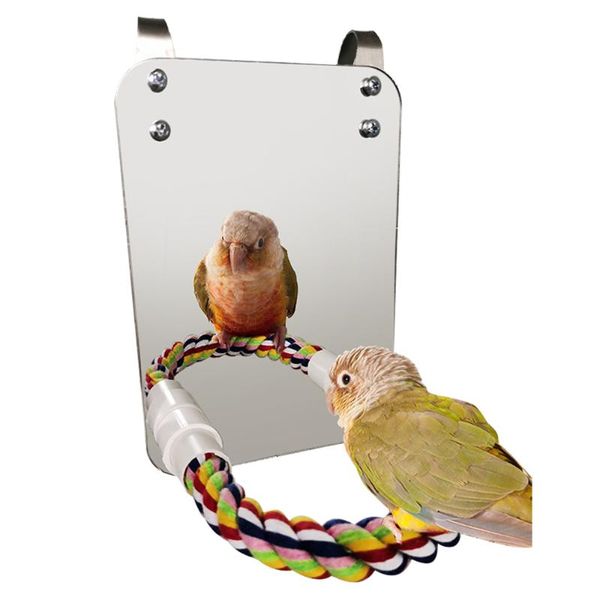 other bird supplies parrot toy chewing bite hanging cage bids swing climb rope parrots mirror toys pet accessories
other bird supplies parrot toy chewing bite hanging cage bids swing climb rope parrots mirror toys pet accessories
