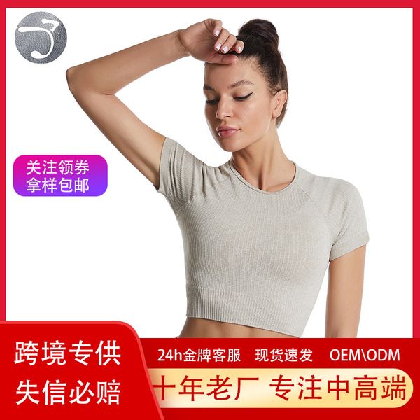 large thread color yoga solid short sleeve women's tight navel exposed fitness suit seamless quick drying, Gray
large thread color yoga solid short sleeve women's tight navel exposed fitness suit seamless quick drying, Gray