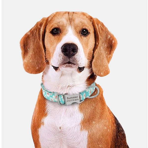 laser engraving custom pet name large medium adjustable lettering fashion puppy neck chain personalized training big dog collar collars & le
laser engraving custom pet name large medium adjustable lettering fashion puppy neck chain personalized training big dog collar collars & le