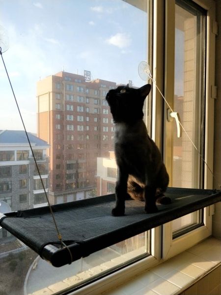 cat beds & furniture bearing 20kg hanging comfortable sunny seat window mount pet hammock soft shelf supplies detachable
cat beds & furniture bearing 20kg hanging comfortable sunny seat window mount pet hammock soft shelf supplies detachable
