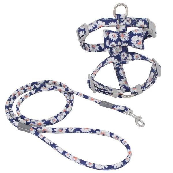 cat traction walking adjustable dog leash flexible set pet puppy bowknot harness rope belt halter collar collars & leashes
cat traction walking adjustable dog leash flexible set pet puppy bowknot harness rope belt halter collar collars & leashes