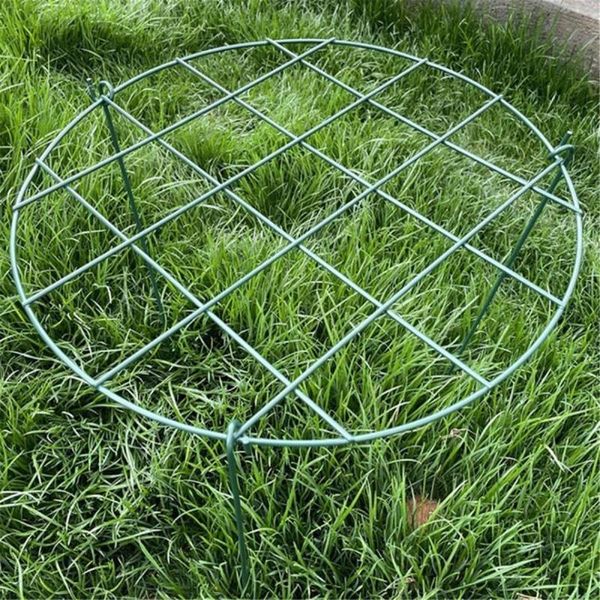 other garden supplies grow-through plant supports grow through grid brace flower support rings hoops with 3 legs throug
other garden supplies grow-through plant supports grow through grid brace flower support rings hoops with 3 legs throug