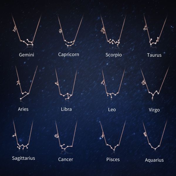 wostu 2021 women 12 constellation silver 925 sterling rose gold necklaces pendants long chain choker for women jewelry
wostu 2021 women 12 constellation silver 925 sterling rose gold necklaces pendants long chain choker for women jewelry
