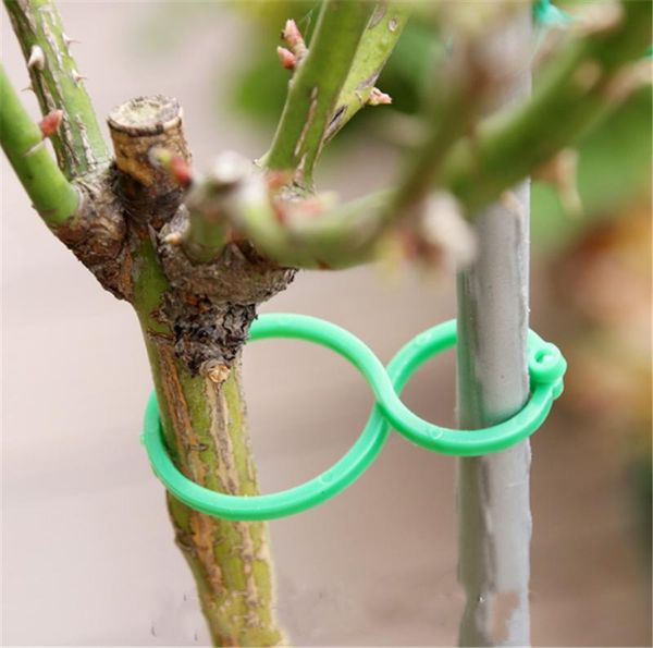 planters & pots 50/100 pcs plant support garden clips trellis for vine vegetable tomato to grow upright stand tool
planters & pots 50/100 pcs plant support garden clips trellis for vine vegetable tomato to grow upright stand tool
