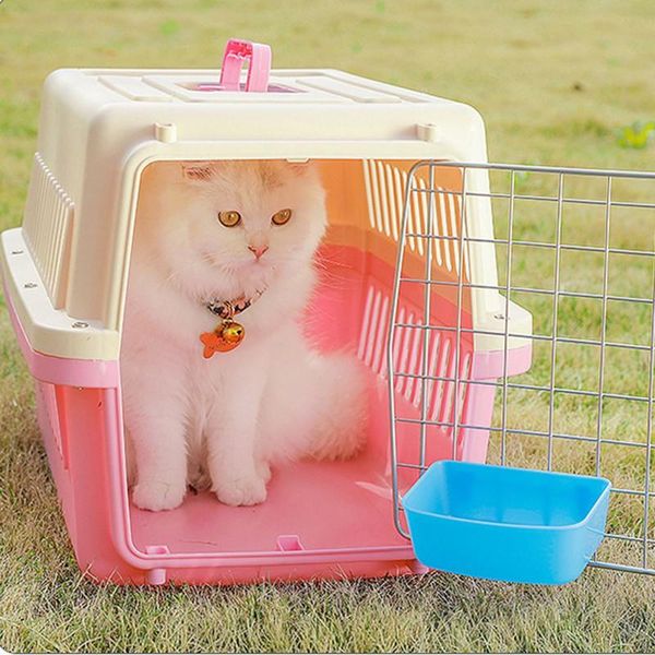 dog bowls & feeders pet cat and flight case portable hanging bowl grade plastic material safe non-toxic
dog bowls & feeders pet cat and flight case portable hanging bowl grade plastic material safe non-toxic