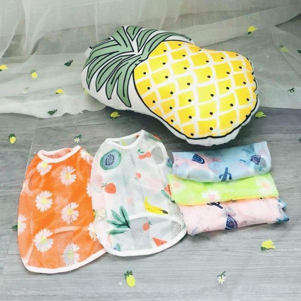 dog apparel sweet pet clothes for small dogs shih tzu yorkshire hoodies sweatshirt soft puppy cat costume clothing ropa para perro
dog apparel sweet pet clothes for small dogs shih tzu yorkshire hoodies sweatshirt soft puppy cat costume clothing ropa para perro