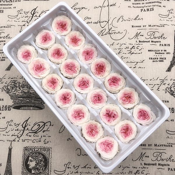 21pcs/box preserved fresh fower austin rose immorta rea fowers rose in box party decorations wedding home decor cass a
21pcs/box preserved fresh fower austin rose immorta rea fowers rose in box party decorations wedding home decor cass a