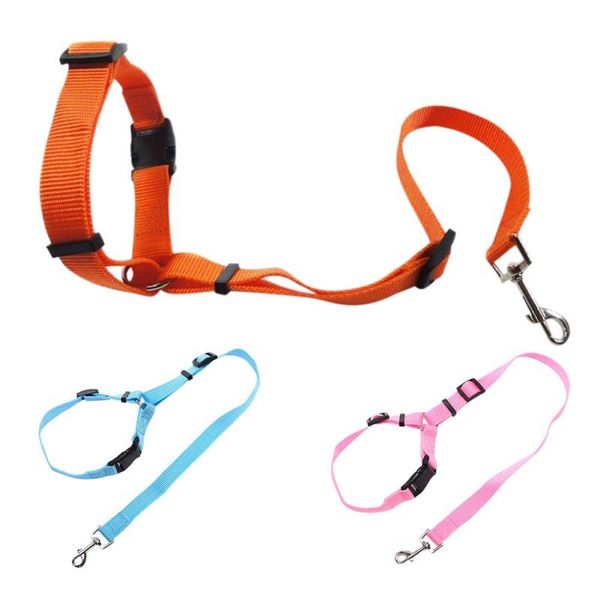 dog collars & leashes pet car seat belt leash traction belts cushioning elastic safety rope outdoor products
dog collars & leashes pet car seat belt leash traction belts cushioning elastic safety rope outdoor products