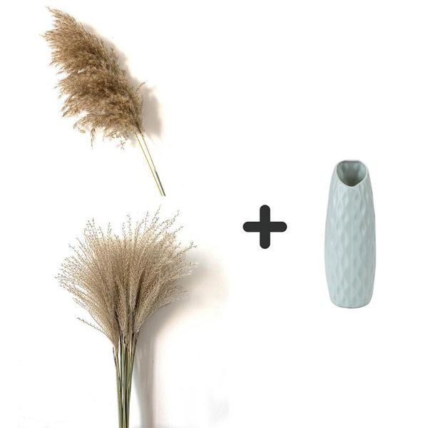 decorative flowers & wreaths pampas grass decor dried with plastic vase natural feather fluffy wedding bunch home
decorative flowers & wreaths pampas grass decor dried with plastic vase natural feather fluffy wedding bunch home
