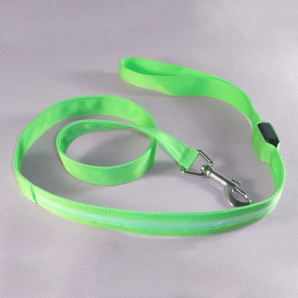 nylon led pet cat dog leash safety glow flashing lighting up good quality collars & leashes
nylon led pet cat dog leash safety glow flashing lighting up good quality collars & leashes
