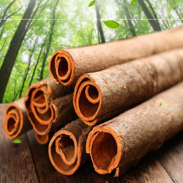 decorative flowers & wreaths dried organic long cinnamon stick wild nature vacuum packaging
decorative flowers & wreaths dried organic long cinnamon stick wild nature vacuum packaging