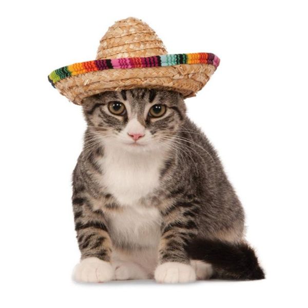 dog apparel mini pet dogs straw hat sombrero cat sun beach party hats hawaii style for funny accessories
dog apparel mini pet dogs straw hat sombrero cat sun beach party hats hawaii style for funny accessories