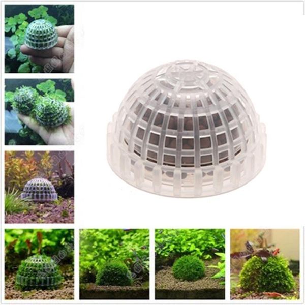 decorations aquatic pet supplies aquarium moss ball live plants filter for java shrimps fish tank products
decorations aquatic pet supplies aquarium moss ball live plants filter for java shrimps fish tank products