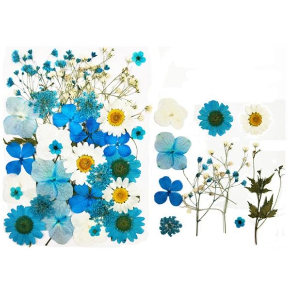 natural pressed dried flowers dry preserved flower for diy crafting scrapbooking invitation card bookmark phone case decor decorative & wrea
natural pressed dried flowers dry preserved flower for diy crafting scrapbooking invitation card bookmark phone case decor decorative & wrea
