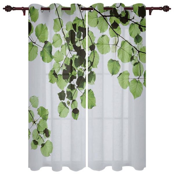 nice translucent curtains with tropical plant leaves pattern for living room kitchen bedroom decoration windows curtain & drapes
nice translucent curtains with tropical plant leaves pattern for living room kitchen bedroom decoration windows curtain & drapes