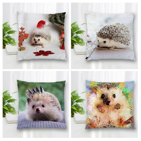 pillow case custom decorative pillowcase hedgehog square zippered cover nice gift 20x20cm 35x35cm 40x40cm
pillow case custom decorative pillowcase hedgehog square zippered cover nice gift 20x20cm 35x35cm 40x40cm