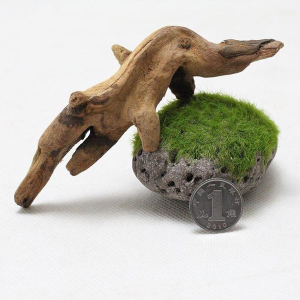 10-15cm natural tree trunk driftwood aquarium fish tank reptile cylinder making roots plant wood decoration ornament decorations
10-15cm natural tree trunk driftwood aquarium fish tank reptile cylinder making roots plant wood decoration ornament decorations