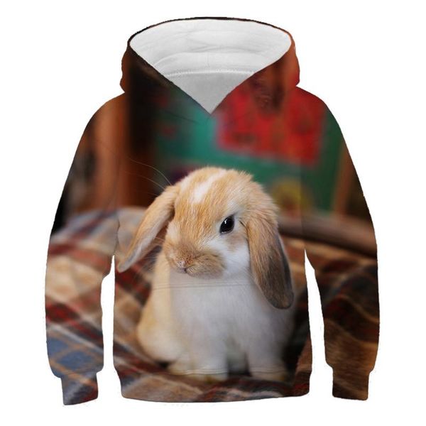 hoodies & sweatshirts 3d printing hoodie sweatshirt autumn style pullover casual hip-hop shirt for kids and boys hoddies, Black
hoodies & sweatshirts 3d printing hoodie sweatshirt autumn style pullover casual hip-hop shirt for kids and boys hoddies, Black