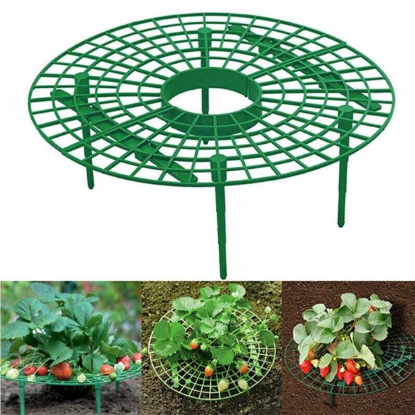 strawberry growing circle support rack plant plastic tool frame flower climbing vine pillar holder gardening stand planters & pots
strawberry growing circle support rack plant plastic tool frame flower climbing vine pillar holder gardening stand planters & pots
