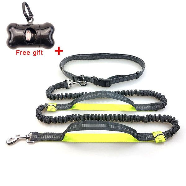 handsbungee dog leash reflective safety running jogging leading rope great control nylon for pet collars & leashes
handsbungee dog leash reflective safety running jogging leading rope great control nylon for pet collars & leashes