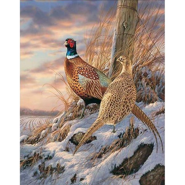 full 5d diy diamond painting wild pheasant cross stitch embroidery bird patterns rhinestones mosaic home decor gift
full 5d diy diamond painting wild pheasant cross stitch embroidery bird patterns rhinestones mosaic home decor gift