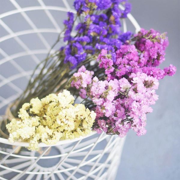 decorative flowers & wreaths 80g"forget-me-not" bouquet natural dried flower wedding home decor valentine's day gift no vase
decorative flowers & wreaths 80g"forget-me-not" bouquet natural dried flower wedding home decor valentine's day gift no vase