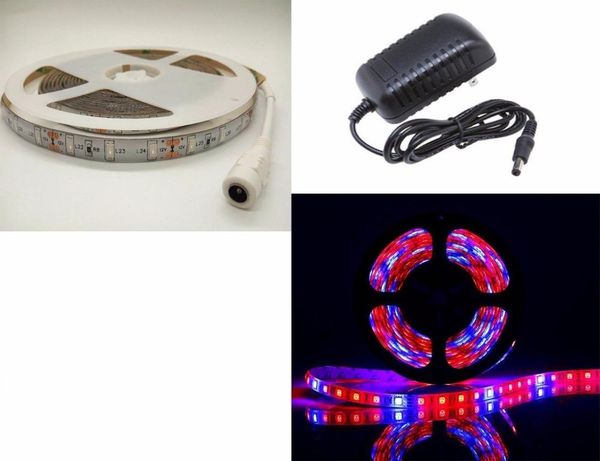 led grow lamp flexible strip tape light aquarium greenhouse hydroponic plant growing and eu/us power adapter strips
led grow lamp flexible strip tape light aquarium greenhouse hydroponic plant growing and eu/us power adapter strips