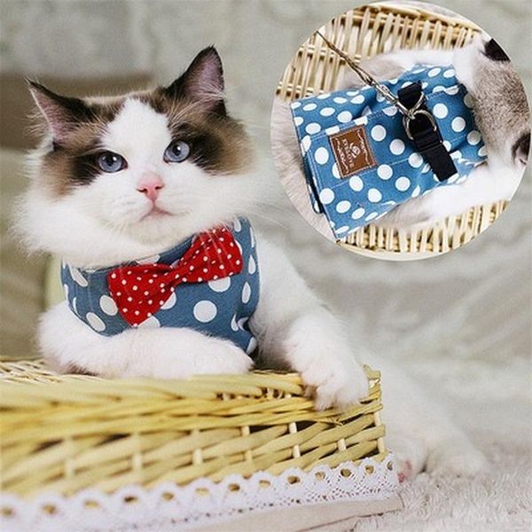 cat collars & leads pet harness traction rope suit vest-style chest strap comfortable small and medium cats products for pets dog accessorie
cat collars & leads pet harness traction rope suit vest-style chest strap comfortable small and medium cats products for pets dog accessorie
