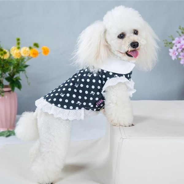 dog apparel spring summer 2021 puppy dress cute small pet cat princess skirt teddy clothes doll collar
dog apparel spring summer 2021 puppy dress cute small pet cat princess skirt teddy clothes doll collar