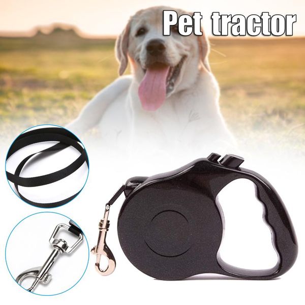 dog collars & leashes 3m pet leash with automatic function reflective wear resistant durable rotation suit for dogs ali88
dog collars & leashes 3m pet leash with automatic function reflective wear resistant durable rotation suit for dogs ali88