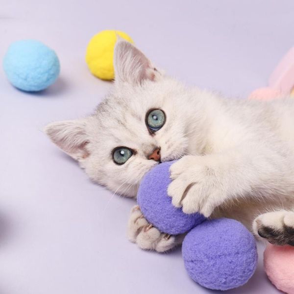 cat toys plush ball toy funny stick self-hey bouncing bounce molar teeth chewing kitten plaything pet accessories supplies 
cat toys plush ball toy funny stick self-hey bouncing bounce molar teeth chewing kitten plaything pet accessories supplies