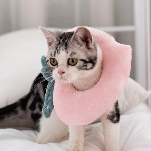 cat costumes pet accesorios dog supplies kitten cloth garfield elizabeth circle skin internet celebrity ins headgear
cat costumes pet accesorios dog supplies kitten cloth garfield elizabeth circle skin internet celebrity ins headgear