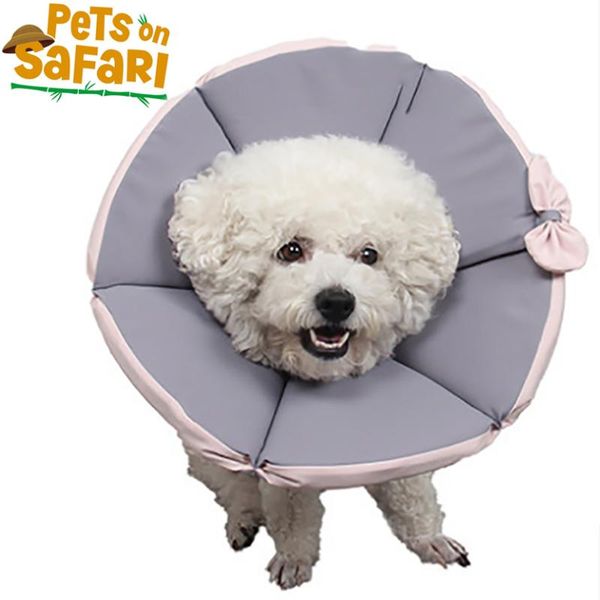 dog cat anti-bite skin disease protective collar pet elizabeth circle collars & leashes
dog cat anti-bite skin disease protective collar pet elizabeth circle collars & leashes