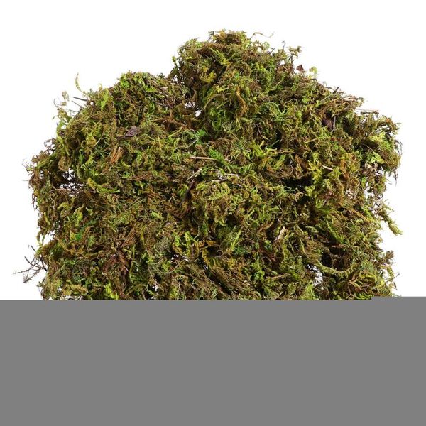 packs artificial moss lichen simulation fake green plants for home garden patio decoration (about 60g) decorative flowers & wreaths
packs artificial moss lichen simulation fake green plants for home garden patio decoration (about 60g) decorative flowers & wreaths