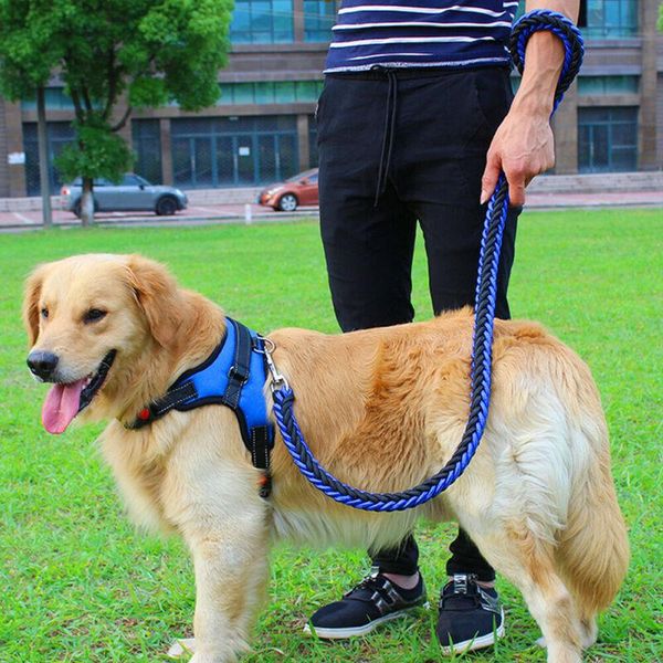 dog collars & leashes fashion pet harness collar lead adjustable padded water resistant non pull vest puppy
dog collars & leashes fashion pet harness collar lead adjustable padded water resistant non pull vest puppy