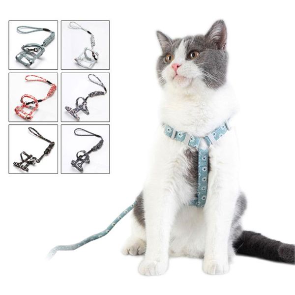 cat collars & leads nylon harness and leash set pet products kitten adjustable vest clothes for cats
cat collars & leads nylon harness and leash set pet products kitten adjustable vest clothes for cats