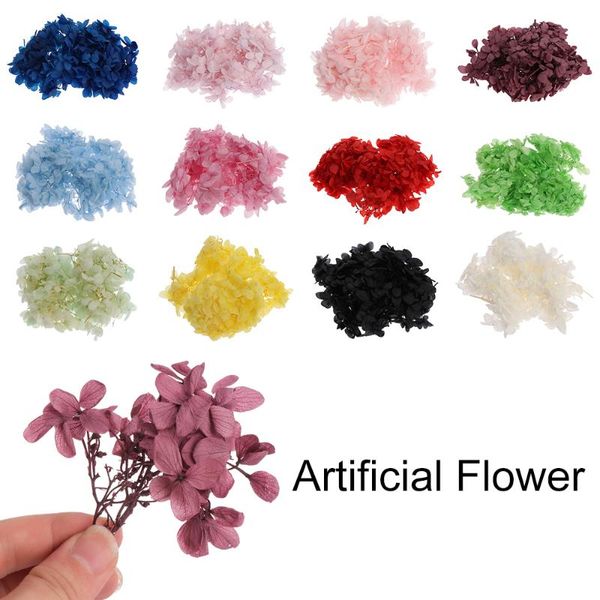 10g/bag dried hydrangea flower head material natural fresh preserved flowers for diy home decoration decorative & wreaths
10g/bag dried hydrangea flower head material natural fresh preserved flowers for diy home decoration decorative & wreaths