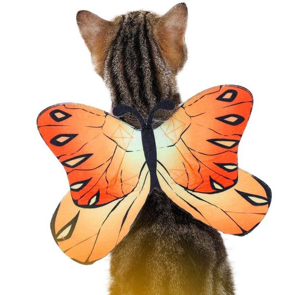 cat costumes funny cute dog butterfly wing cosplay accessories vest clothes harness fancy dress up supplies
cat costumes funny cute dog butterfly wing cosplay accessories vest clothes harness fancy dress up supplies