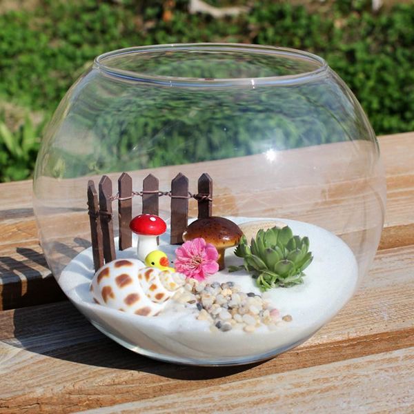 8pcs/pack diameter=15cm big size flat mouth glass terrarium fishbowl aquarium home decorative vase novelty items
8pcs/pack diameter=15cm big size flat mouth glass terrarium fishbowl aquarium home decorative vase novelty items